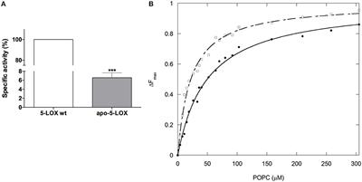 Iron-Dependent Trafficking of 5-Lipoxygenase and Impact on Human Macrophage Activation